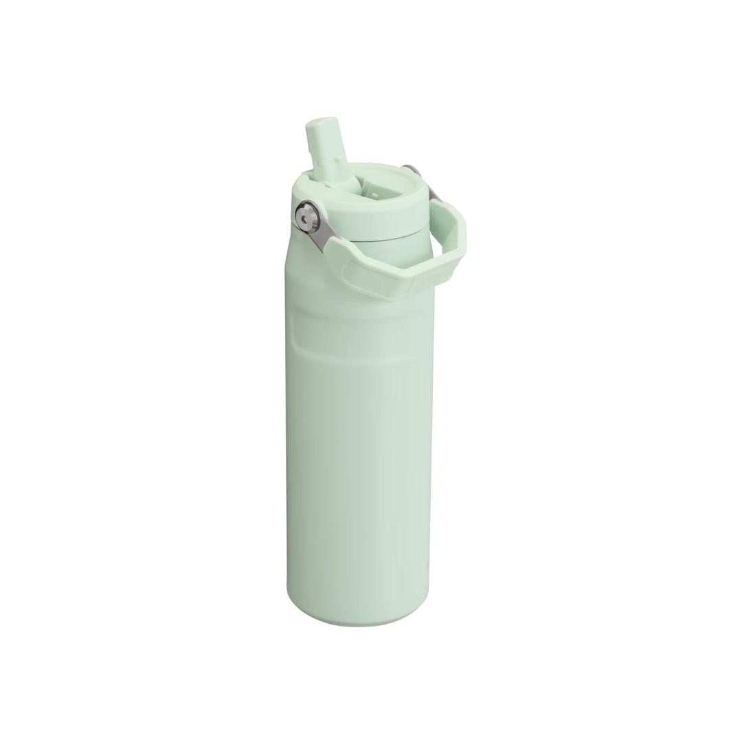 Stanley The IceFlow Bottle with Flip Straw Lid 24 oz