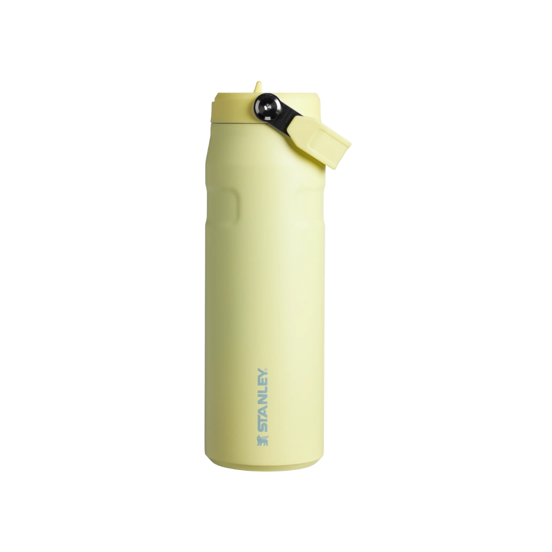 Stanley The IceFlow Bottle with Flip Straw Lid 24 oz