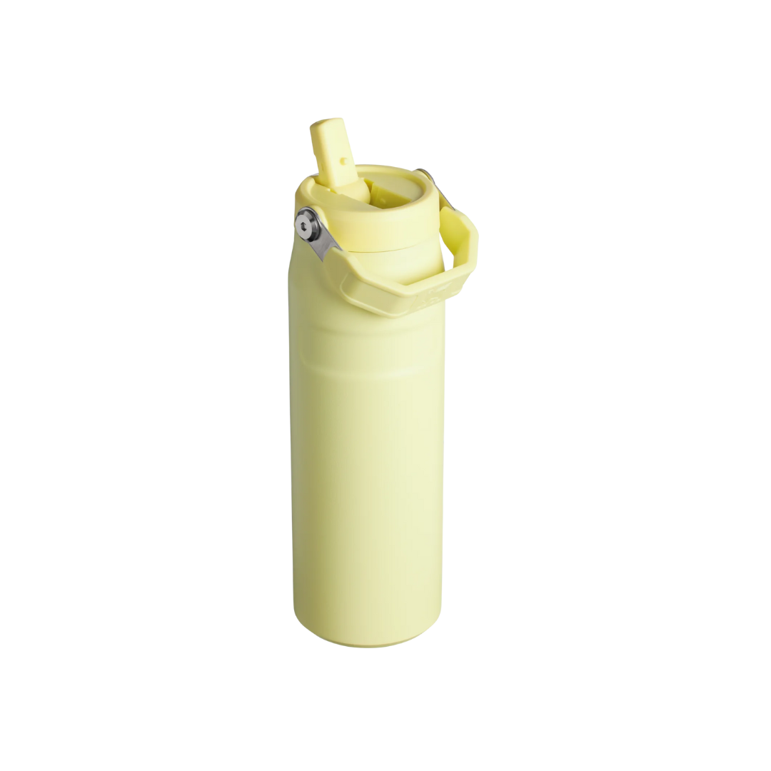 Stanley The IceFlow Bottle with Flip Straw Lid 24 oz