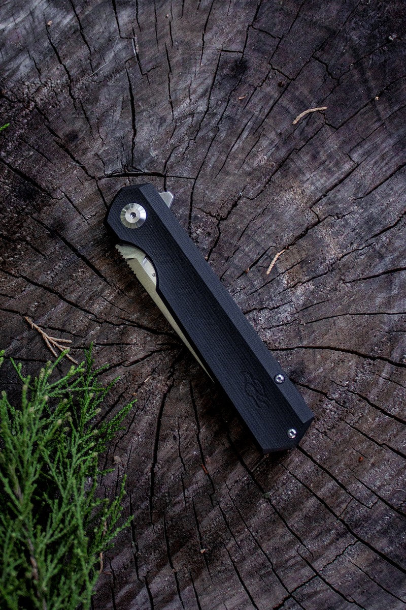 Ganzo Firebird FH11 Liner Lock G10 Folding Knife