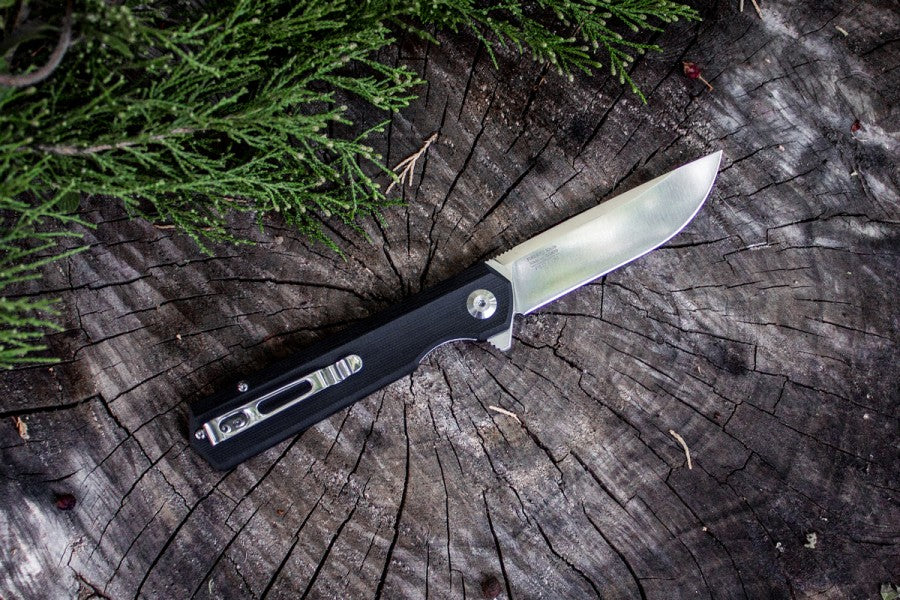 Ganzo Firebird FH11 Liner Lock G10 Folding Knife