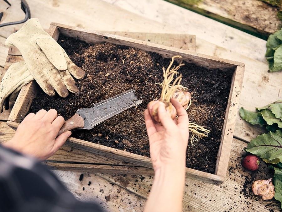 Barebones Hori Hori Classic