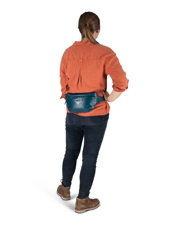 Osprey Transporter Waist