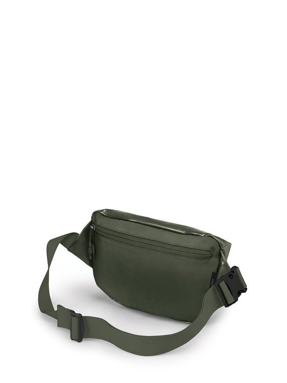 Osprey Transporter Waist