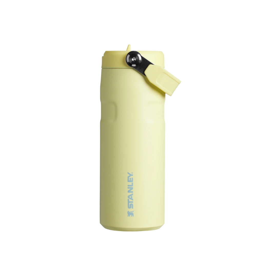 Stanley The IceFlow Bottle with Flip Straw Lid 16 oz