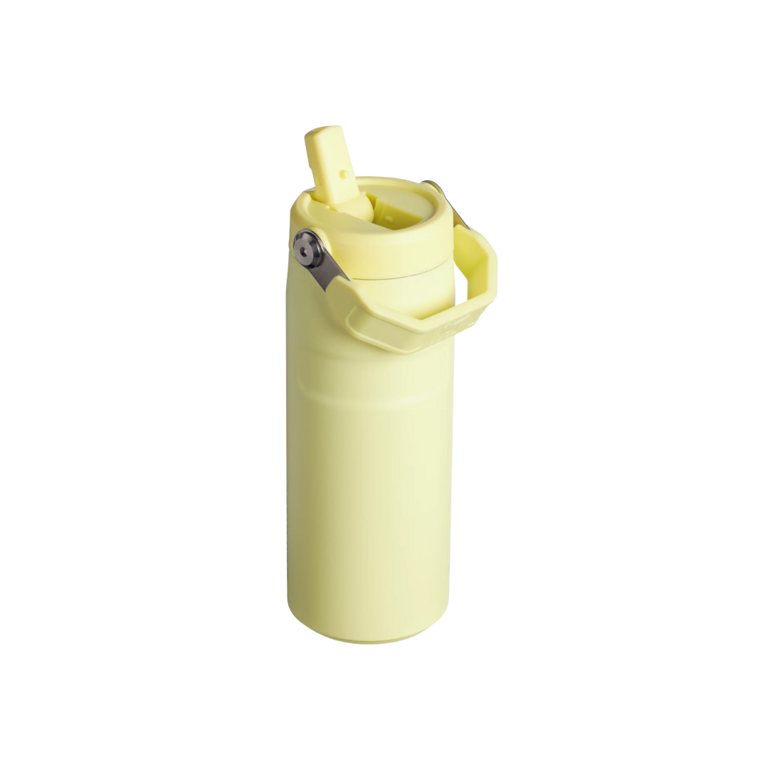 Stanley The IceFlow Bottle with Flip Straw Lid 16 oz