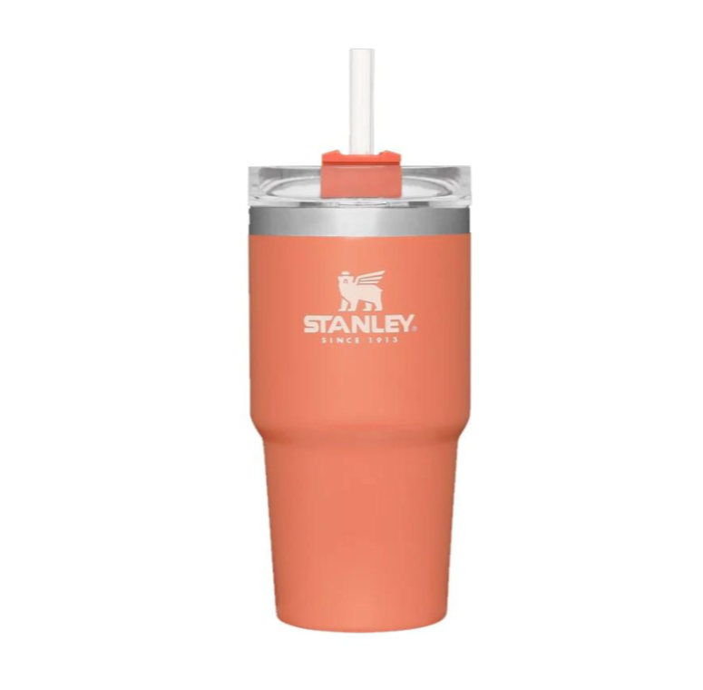 Stanley Adventure Quencher Tumbler 23oz