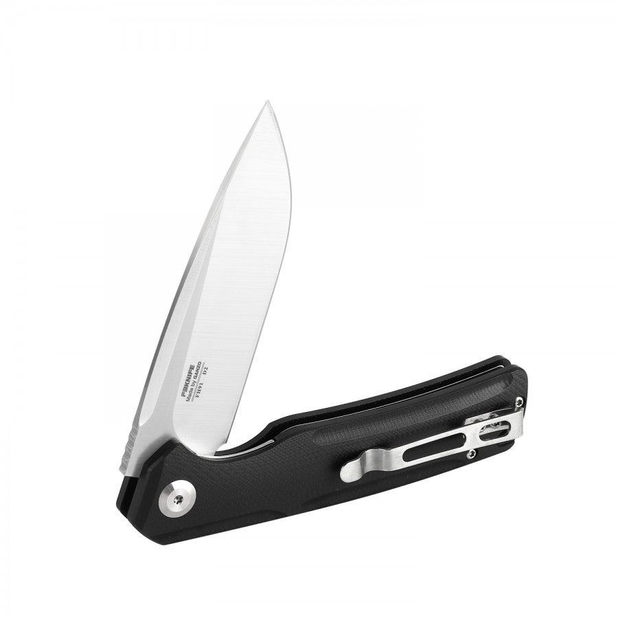 Ganzo Firebird FH91 Liner Lock G10 Folding Knife