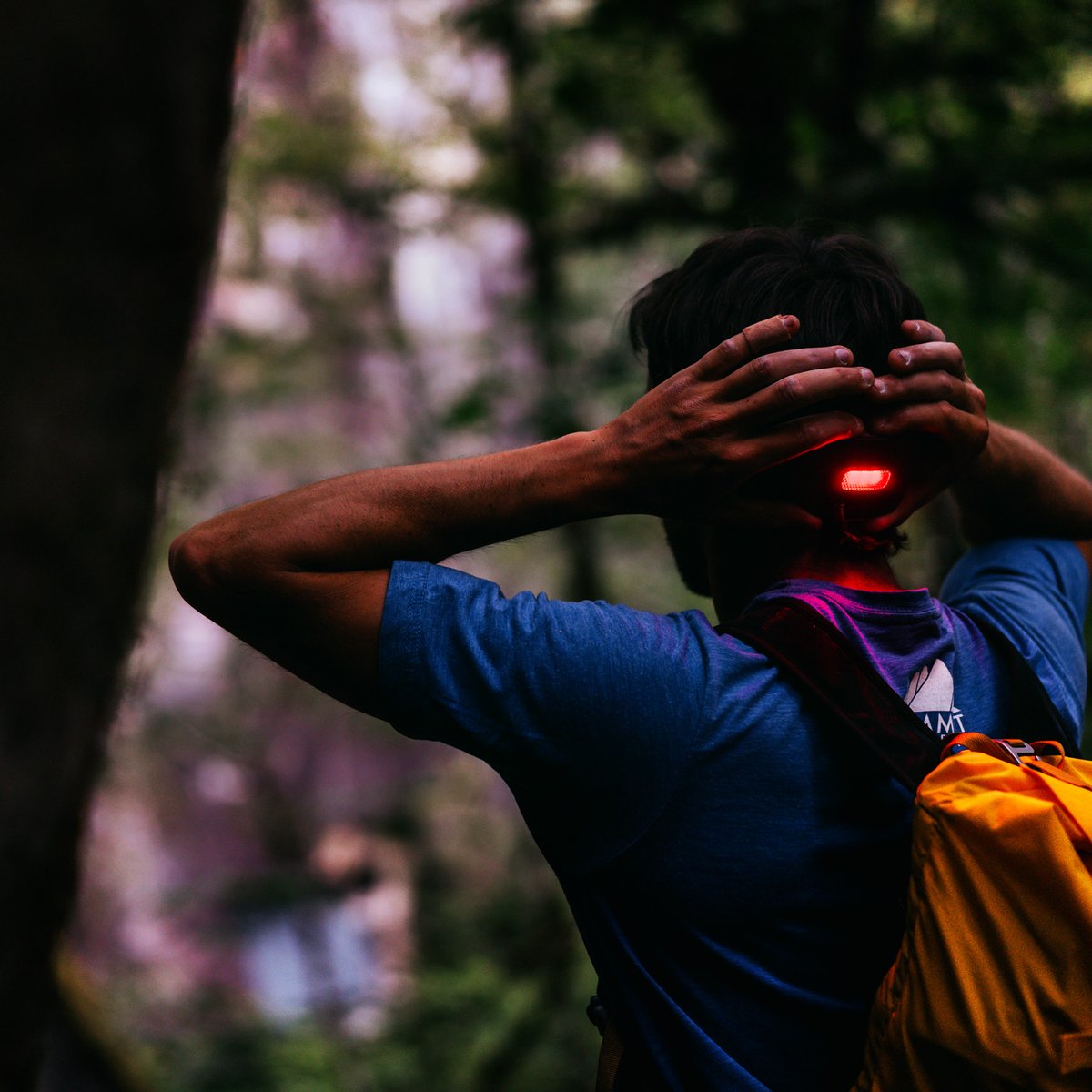 Biolite Rechargeable Headlamp 750 Lumens