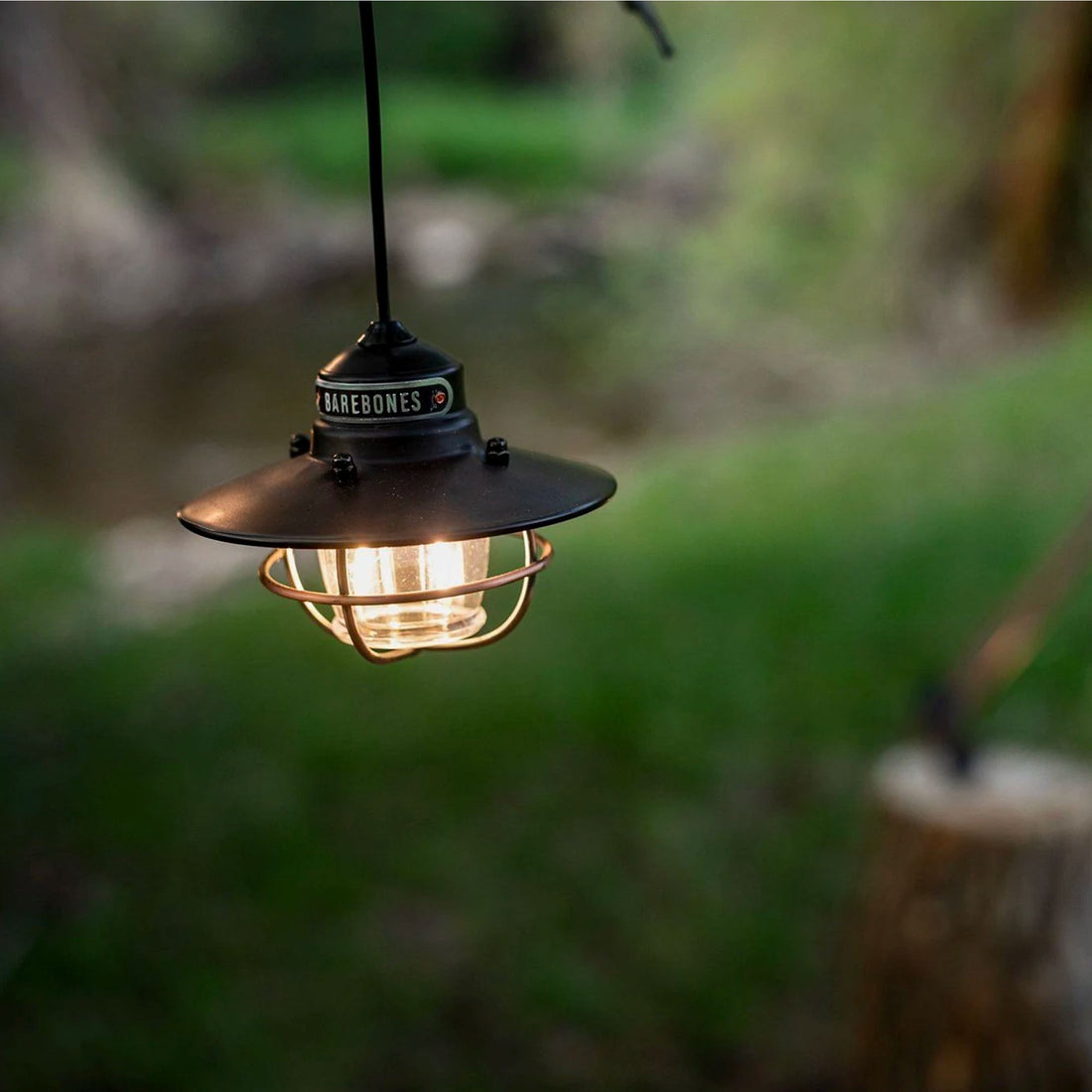 Barebones Edison Pendant Light