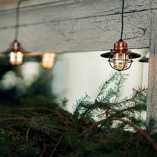 Barebones Edison Pendant Light