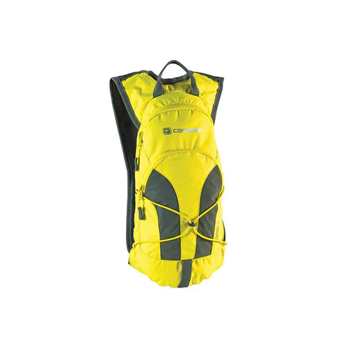 Caribee Stinger 2L