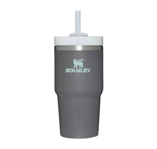 Stanley Adventure Quencher 2.0 Tumbler 20oz