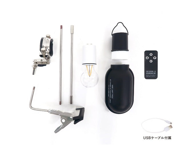 Post General Hang Lamp Type 3