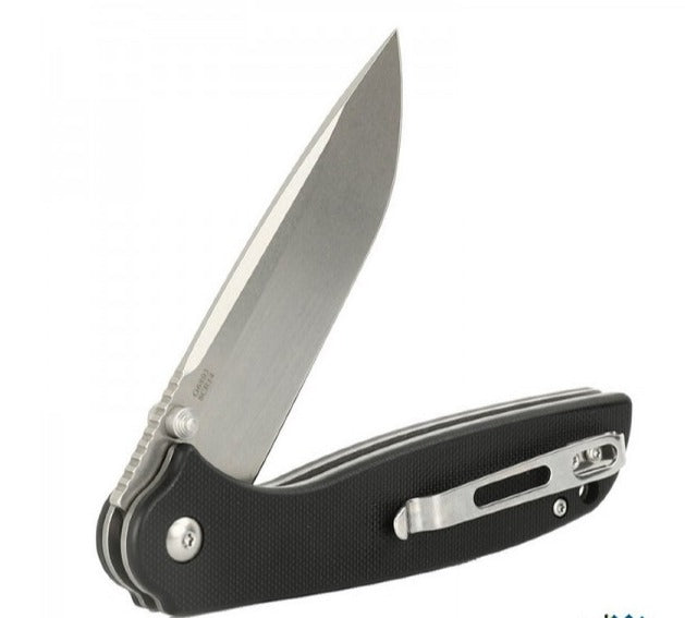 Ganzo G6803 Liner Lock G10 Folding Knife