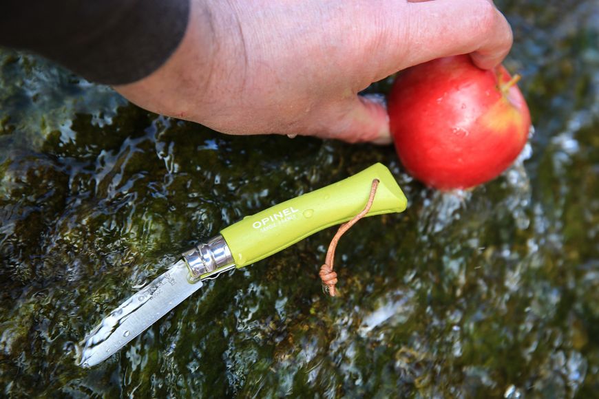 Opinel N07 with Lanyard