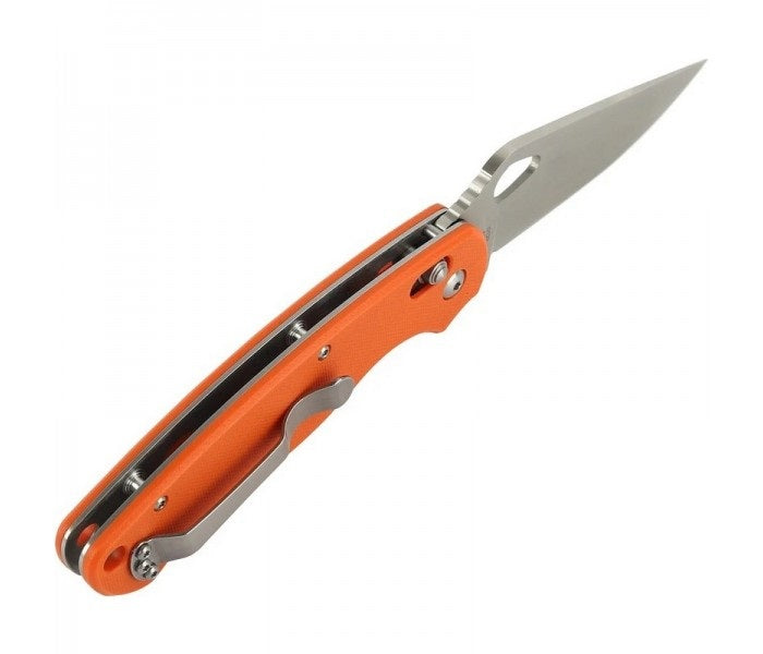 Ganzo G729 Axis Lock G10 Folding Knife